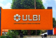 Pengumuman, Beasiswa Ikatan Dinas Calon Pegawai Pos Indonesia di ULBI Sudah Dibuka, Cek Syarat dan Tahapannya!