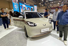 Simulasi Pinjaman Bank untuk Mobil Listrik Fast Charging DP Rp30 juta Cicilan Mulai Rp3 juta 