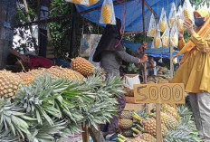 3 Lokasi Favorit Beli Oleh-Oleh Nanas Murah dan Manis di Prabumulih, Pusat Kota Nanas Indonesia