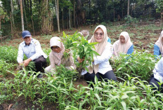 Panen Perdana Dibagikan ke Anggota