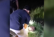 Tragis! Warga Tugumulyo Tewas Tersengat Alat Setrum Ikan di Persawahan OKI