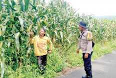 Keaktifan Bhabinkamtibas Polsek Martapura, Beri Penyuluhan Bercocok Tanam yang Efektif 