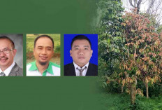 Penyebab Punahnya Tanaman Duku di Sumatera Selatan