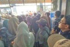 Pemberkasan, PPPK Padati Kantor BKPSDM