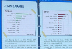 Batubara Dominasi Ekspor Sumsel: Kontribusi 42,39 Persen pada Neraca Perdagangan Internasional Indonesia