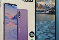Nokia 2.4, Pilihan Entry-Level dengan Android Murni dan Ketahanan Andal