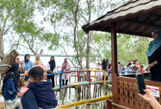 Pesona Mangrove, Nyalakan Harapan Daerah Pesisir