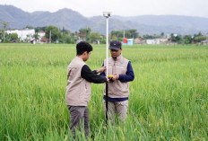 Antisipasi Penumpukan Berkas, Kementerian ATR/BPN Uji Coba Pengukuran Terjadwal di 38 Kantor Pertanahan