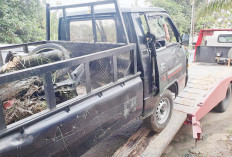 Masuk Kolong L300, Ibu-Anak Tewas dalam Kecelakaan Maut di Jalinsum Mura-Lubuklinggau