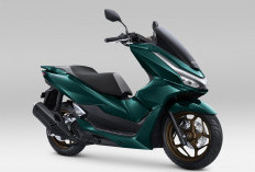 Makin Berkelas dan Penuh Gaya, Honda PCX160 2026 Tampil dengan Warna-Warna Eksklusif Terbaru