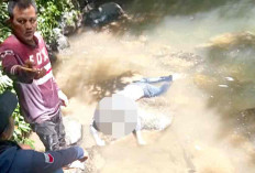  Panik Diinterogasi Warga, Terduga Pelaku Curanmor Nekat Terjun ke Jurang, Ending-nya Ngapung di Sungai