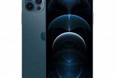 Harga Terbaru iPhone 12 Tahun 2025, Spesifikasi Masih Layak di Tengah Persaingan Ketat