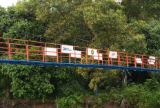 BRI Peduli Membangun Jembatan Gantung untuk Meningkatkan Mobilitas dan Ekonomi Warga