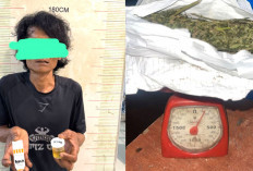 120 Gram Ganja Diamankan, Oknum Kades di Lahat Ditangkap Kasus Ekstasi