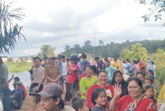 Penampakan Buaya Resahkan Warga  