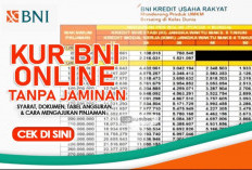 KUR BNI Online Tanpa Jaminan: Akses Modal Usaha Mudah untuk UMKM
