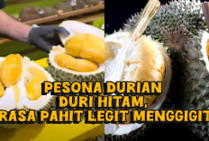 Durian Ochee, Varietas Durian Mewah yang Populer di Indonesia dan Malaysia, Apa Sih Istimewanya?