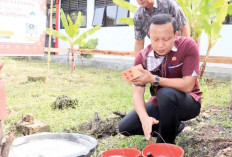 Bantu Semen untuk Musala Sekolah