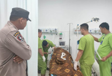 Cara Mudah Cek Status SKTP Guru 2026 Secara Online Lewat Portal Resmi Info GTK