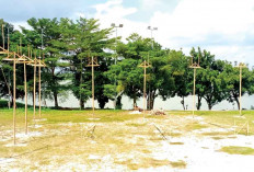 Pendaftaran Ditutup 10 Agustus 2025, Ayo Segera Daftar Festival Panjat Pinang 80 Pohon Sumatera Ekspres