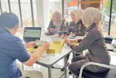 Lelang Non Eksekusi BMN, Hasil Penjualan untuk Negara