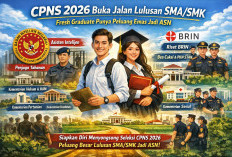 CPNS 2026 Diproyeksikan Ramah Lulusan SMA/SMK, Fresh Graduate Berpeluang Masuk ASN
