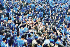 Pemberian THR bagi ASN PPPK Tunggu Petunjuk Pusat, Ini Kata Wali Kota Palembang Ratu Dewa