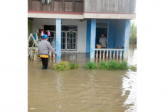Belum Siapkan Posko Evakuasi, Permukaan Air Sungai Komering Naik