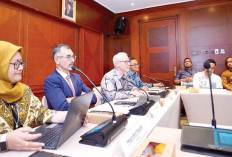 PLN dan Uni Eropa Sinergi Kembangkan Infrastruktur Listrik Hijau, Dukung Target Net Zero 2060