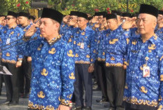 Jadwal Penggunaan Seragam Dinas PNS dan PPPK di Pemda dari Senin hingga Jumat    