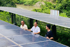 Energi Surya Bukit Asam Tingkatkan Panen Petani 