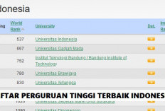 Inilah 20 Perguruan Tinggi Terbaik di Indonesia, Ada 3 Kampus Swasta Ikut Nimbrung
