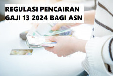 Diteken Jokowi! Gaji 13 Cair Paling Lambat Juni 2024, PPPK Lulusan 2023 Juga Berpotensi Dapat, Cek Syaratnya