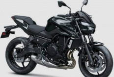 All New Kawasaki Z650 Hadir Bawa Desain Sugomi yang Lebih Sangar dan Torsi Badak, Siap Rajai Jalanan Kota