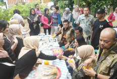 Kampung Lele Kecamatan Sematang Borang Kota Palembang, Warga Kompak Budidaya dan Olah Ikan Lele
