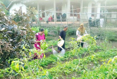 Tambah Penghasilan Anggota