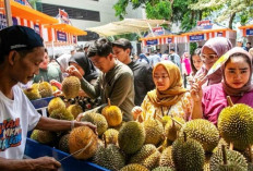 Pemberdayaan BRI Dorong Pertumbuhan Kelompok Petani Durian Pekalongan, Bantu Ekspor dan Perluas Pasar Nasional