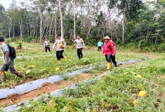 Gunakan Dana Desa, Tingkatkan Kesejahteraan Masyarakat