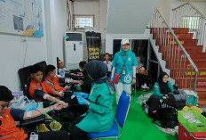 BKK Kelas I Palembang Gelar Donor Darah dan Layanan Kesehatan Gratis Peringati HKN ke-61