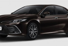 Toyota Camry HEV 2025, Perpaduan Elegansi, Teknologi, dan Kepedulian Lingkungan