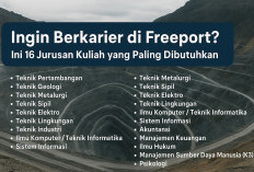 Ingin Berkarier di Freeport? Ini 16 Jurusan Kuliah yang Paling Dibutuhkan