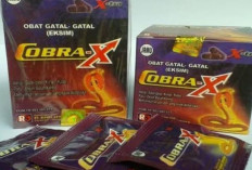 Awas, BPOM Peringatkan 10 Produk Herbal Berbahaya Mengandung Bahan Kimia Obat, Ada Cobra X dan Tongkat Arab!