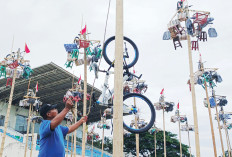  Kuota Panjat 80 Pohon Pinang Sudah Full, Peserta Diasuransikan Jasaraharja Putera, Tahun Depan Buruan Daftar