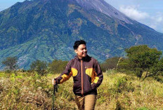 Gunung Merbabu: Jelajahi 3 Jalur Pendakian dan Nikmati Keindahan Alamnya!