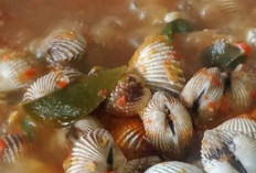  Rasakan Sensasi Pedas di Kalangan Pecinta Seafood, Resep Kerang Dara Viral yang Bikin Ketagihan!