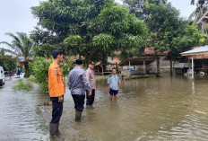 Hujan Tak Kunjung Reda, Dua Desa di Sungai Keruh Terendam Banjir