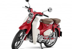 Honda Super Cub C125, Ketika Warisan Legendaris Bertemu Gaya Hidup Modern yang Elegan