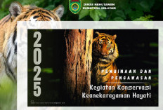 SiPegasKehati: Digitalisasi Pengawasan Konservasi Biodiversitas di Sumatera Selatan