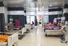 Waspada, 70 Persen Gagal Ginjal Tanpa Gejala, Pasien HD Rata-Rata 142 Orang per Hari 