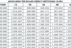 Pinjaman Khusus untuk Guru Bersertifikasi: Opsi dan Syarat dari Berbagai Bank di Indonesia